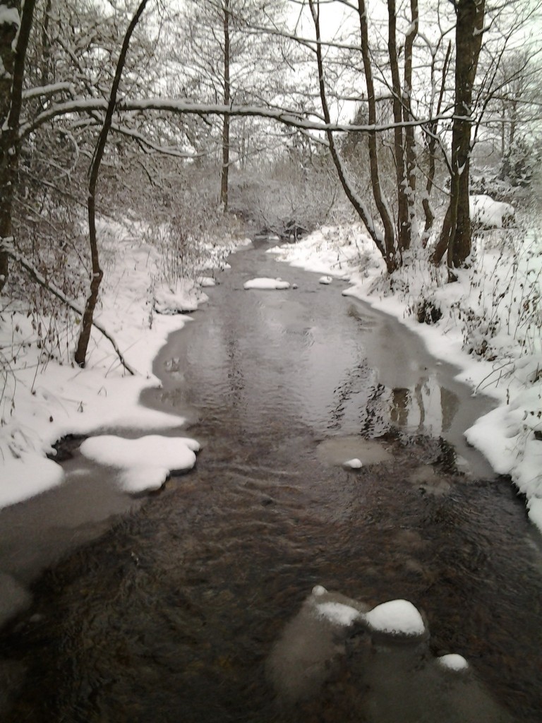 Silverbäcken