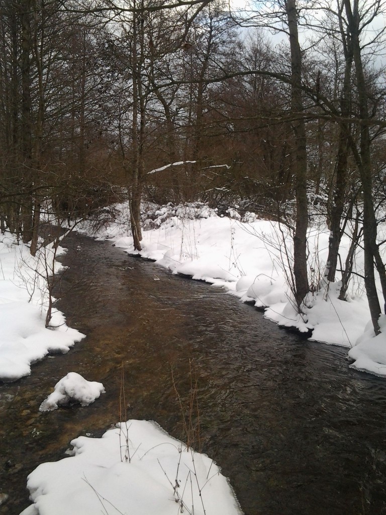 Silverbäcken