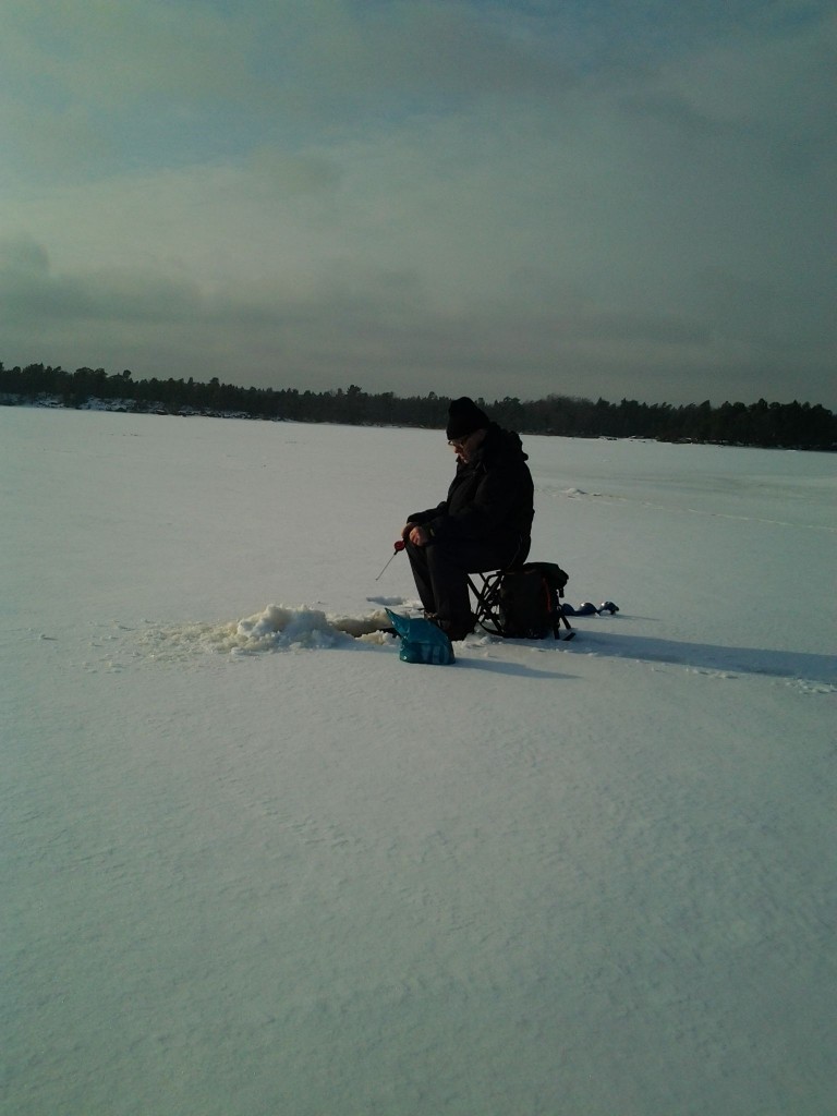 Pimpel i Kråkelund